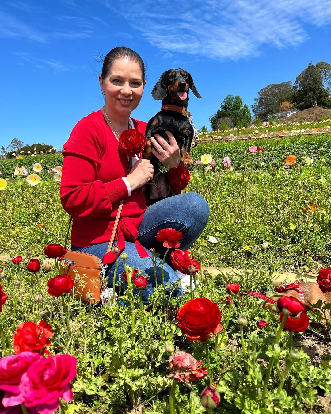 Annalisa with her black n tan dachshund in a field of flowers